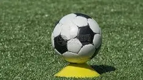 韦德体育 资讯 091438 xvd