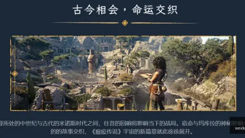 韦德体育 064913 0